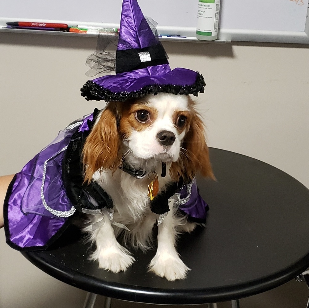 Meet your Posher, Tina